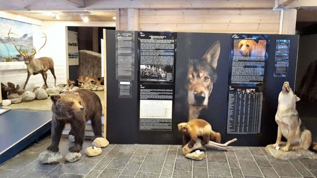 Centrum Interpretacji i Muzeum Jostedalsbreen