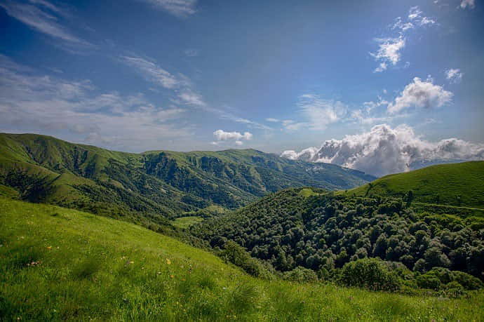 Dolina rzeki Algeti, Gruzja