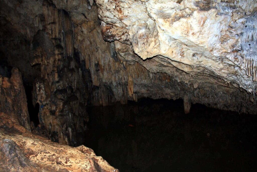 Jaskinia Ana 'Ahu, wyspa ʻEua, Tonga