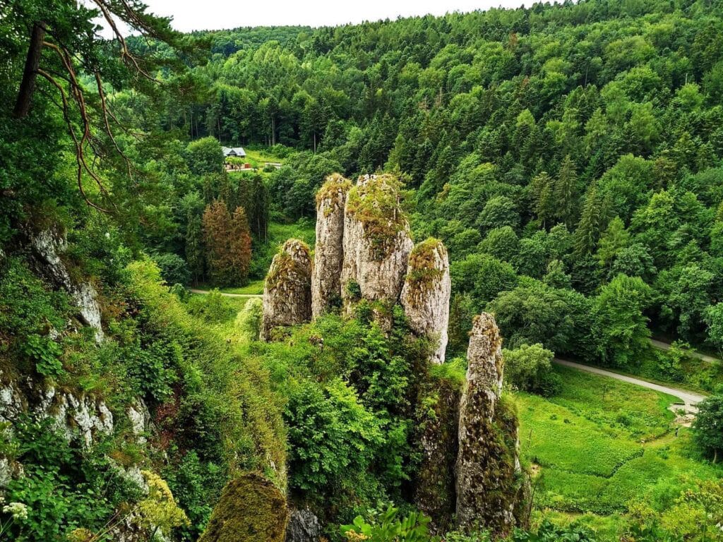 Formacje skalne – co zobaczyć i zrobić w Ojcowskim Parku Narodowym, Polska