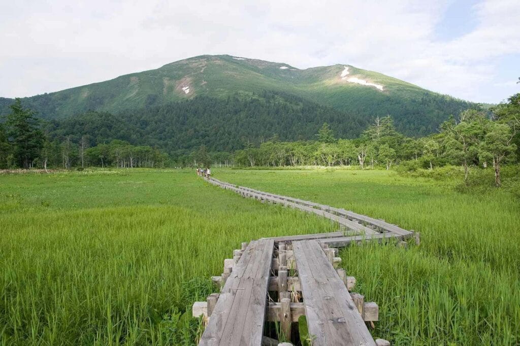 Góra Shibutsu, Oze, Japonia