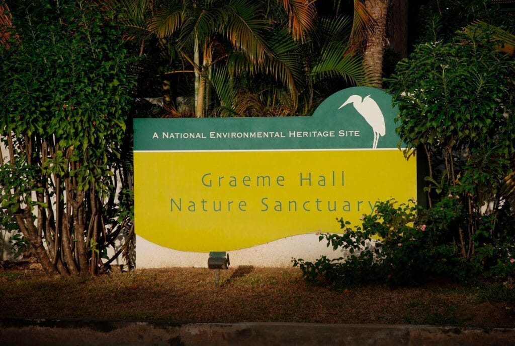 Graeme Hall Nature Sanctuary na Barbadosie: kompletny przewodnik