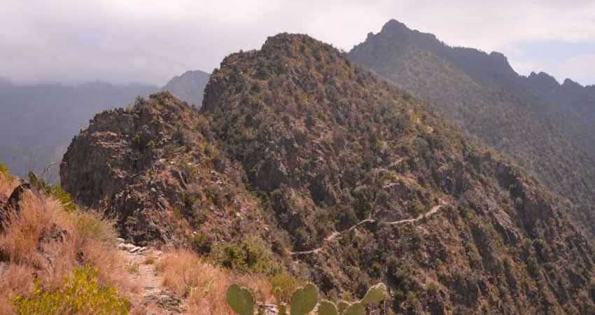 Jabal Sawda w Parku Narodowym Asir, Arabia Saudyjska