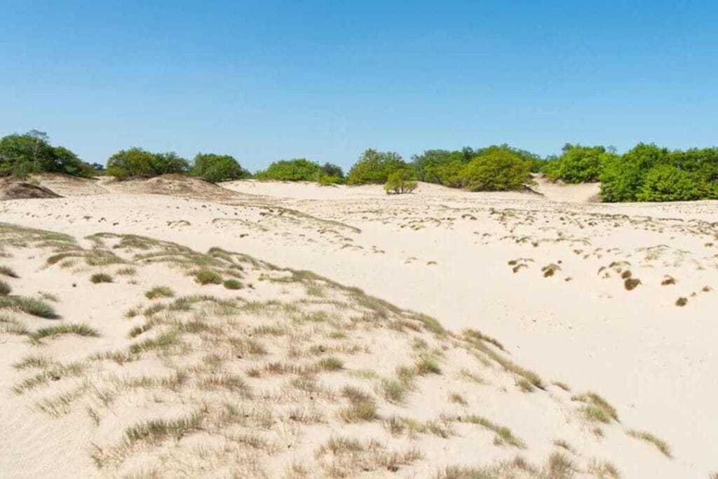Jak powstały wydmy piaskowe w De Loonse en Drunense Duinen?