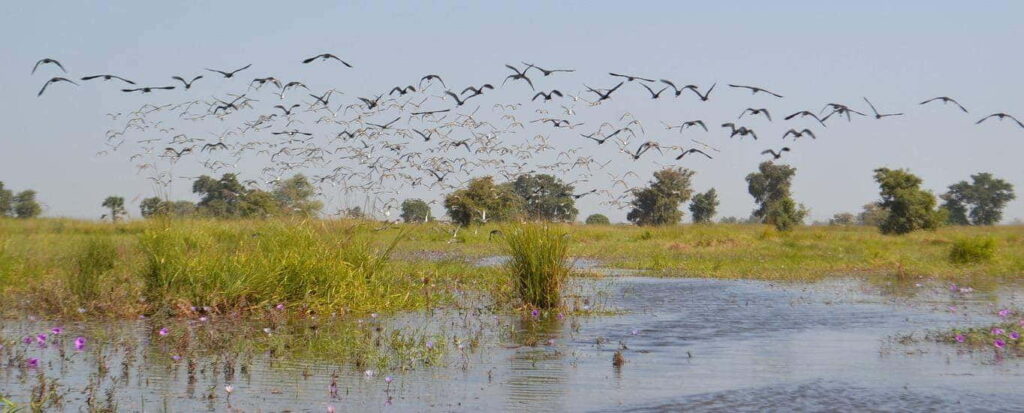 Obszary podmokłe o znaczeniu międzynarodowym i obszary Ramsar w Czadzie