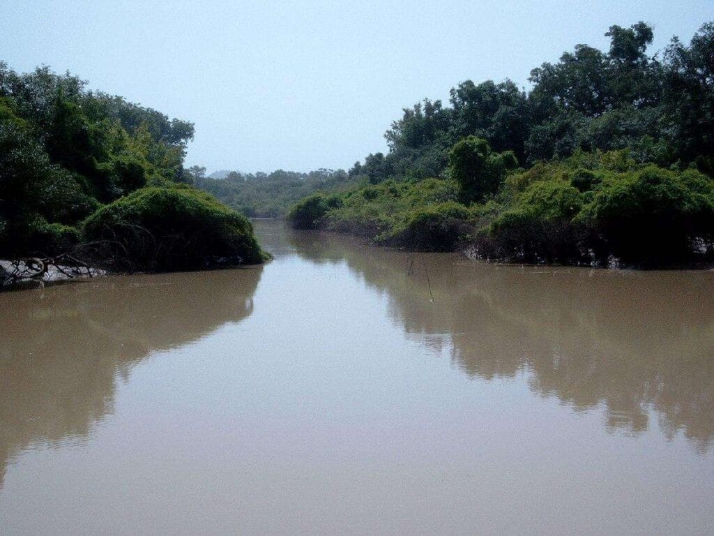 Park Narodowy Arli: naturalny skarb Burkina Faso w Afryce