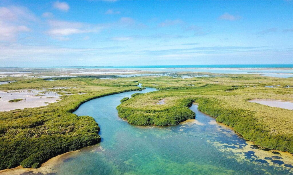 Park Narodowy Arrecifes de Xcalak (Quintana Roo, Jukatan, Meksyk)
