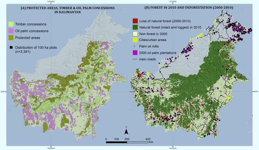 Parki narodowe wyspy Borneo (Indonezja)