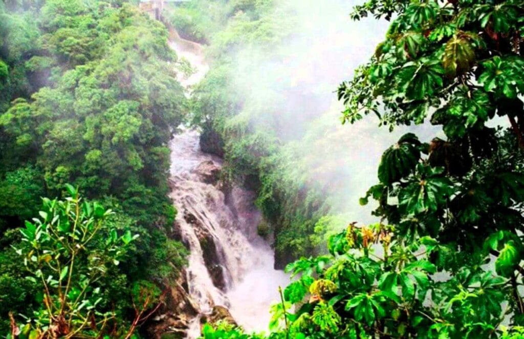 Park Narodowy Cañón del Río Blanco w Veracruz, Meksyk
