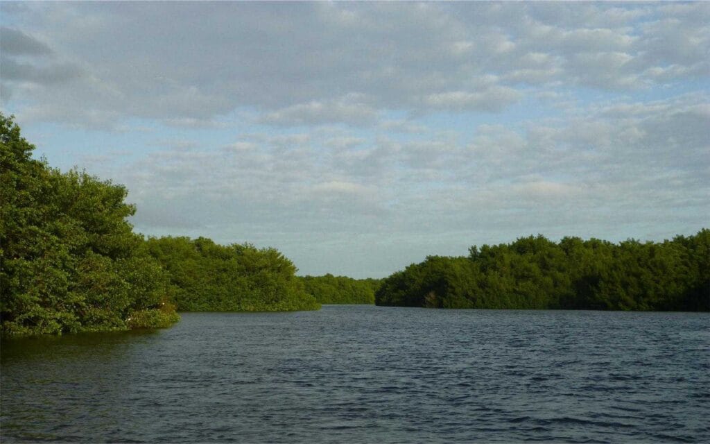 Park Narodowy Caroni Lagoon na Trynidadzie i Tobago