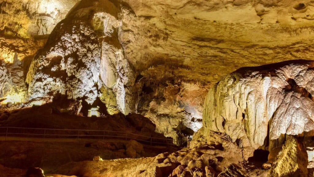Park Narodowy Jaskiń Rzeki Camuy (Cavernas del Río Camuy) w Portoryko