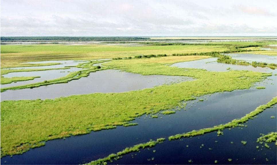 Flora Parku Narodowego Kakadu, Australia