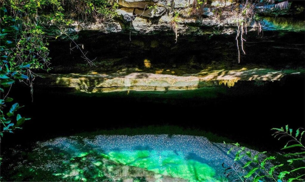Park Narodowy Lucayan na Bahamach: przewodnik po aktywnościach faunie i florze