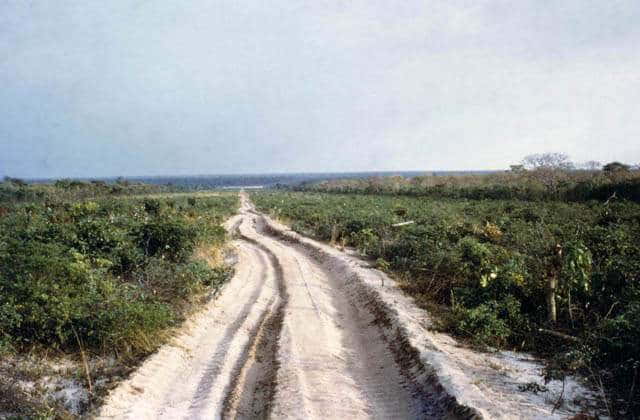 Park Narodowy Luengue-Luiana: droga do tras safari