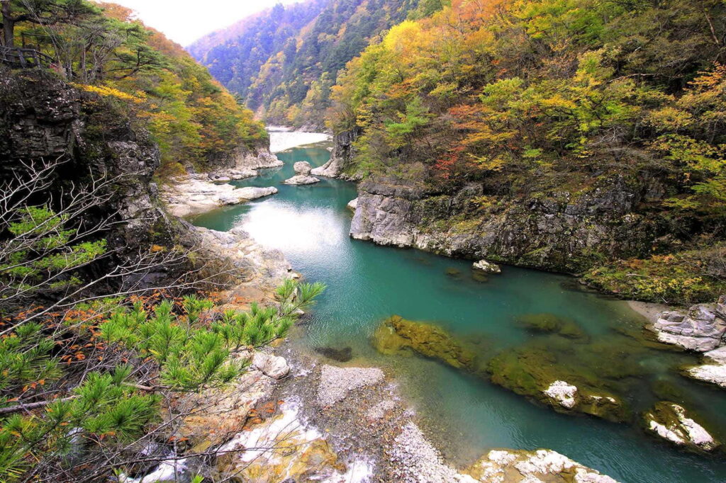 Park Narodowy Nikkō w regionie Kantō w Japonii (150 km na północ od Tokio)