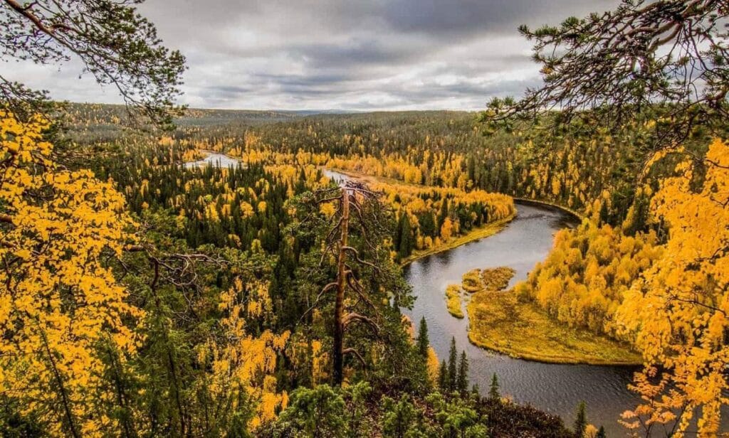 Przewodnik po Parku Narodowym Oulanka, Finlandia: kompletny przewodnik dla odwiedzających