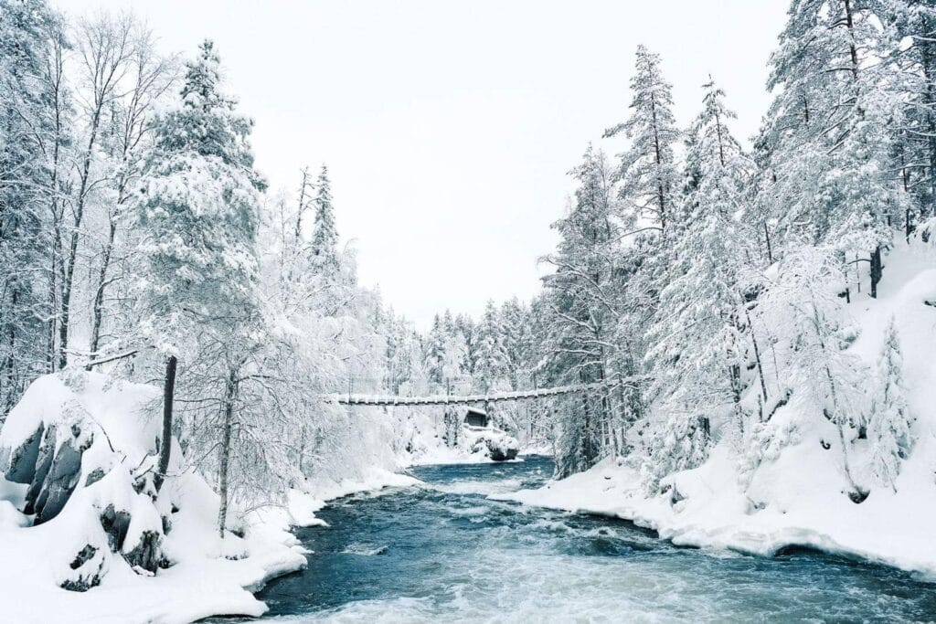 Park Narodowy Oulanka zimą