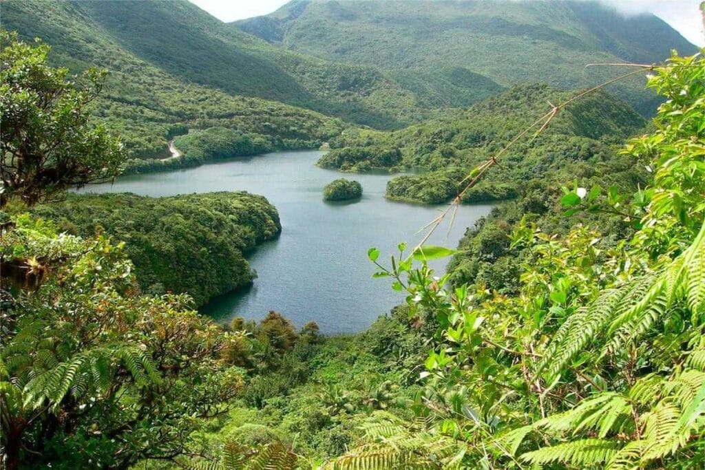 Park Narodowy Morne Trois Pitons na Dominice: niezapomniany