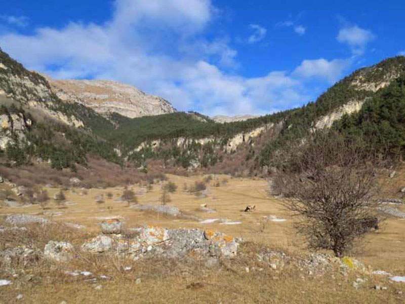 Polana Fatanta (Поляна Фатанта)