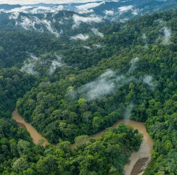 Rzeka Belalong, Brunei