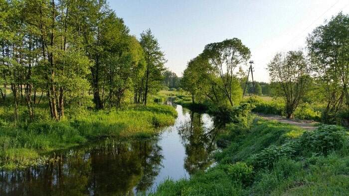 Wędkowanie nad brzegiem rzeki Narewka