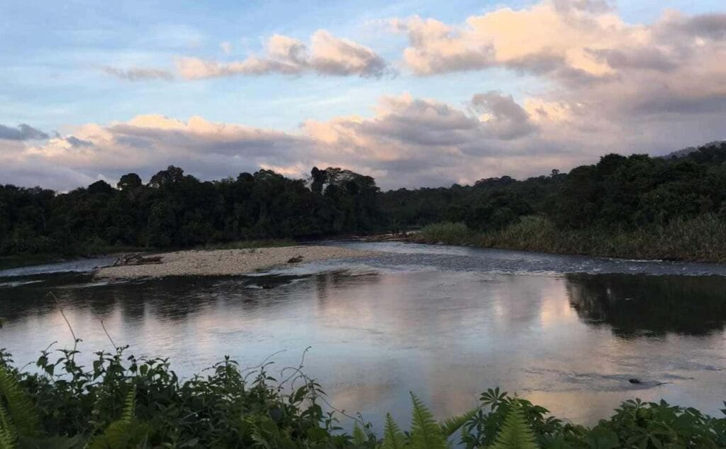 Rzeka Temburong, Brunei