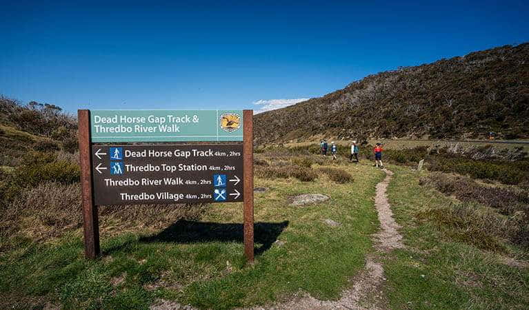Rzeka Thredbo