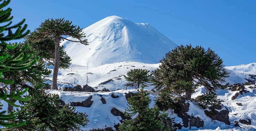 Wulkan Llaima w Chile